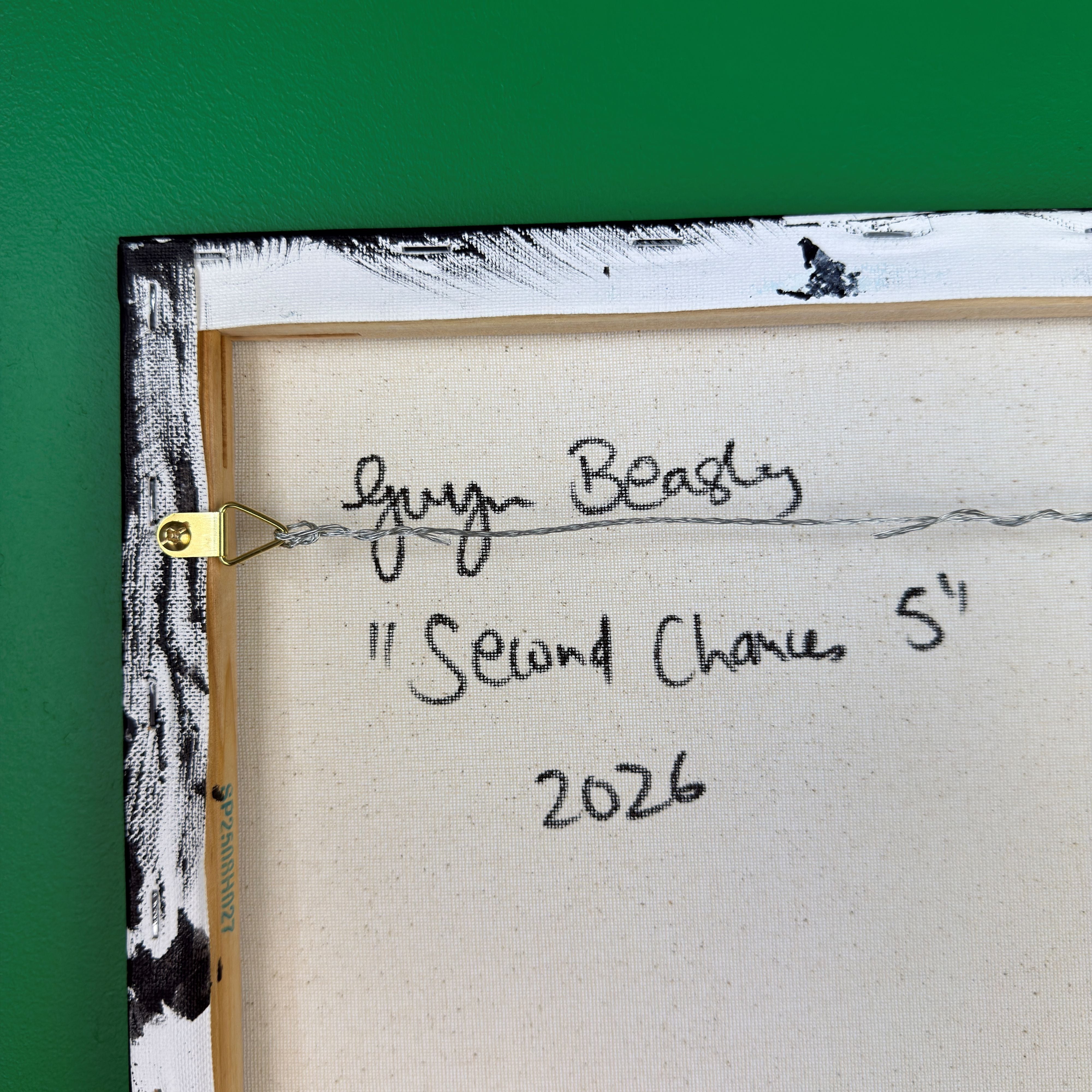Second Chances 5