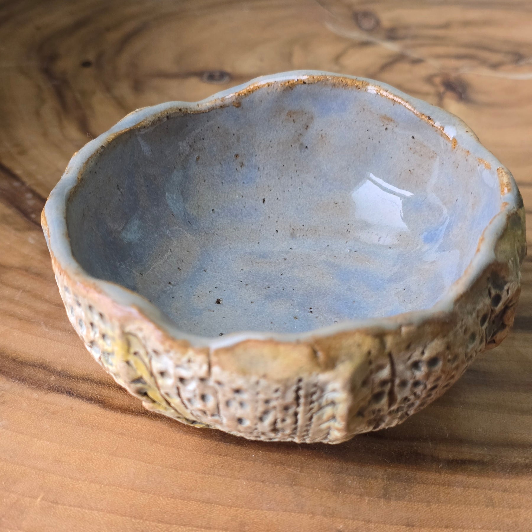 Little Sea Urchin bowl