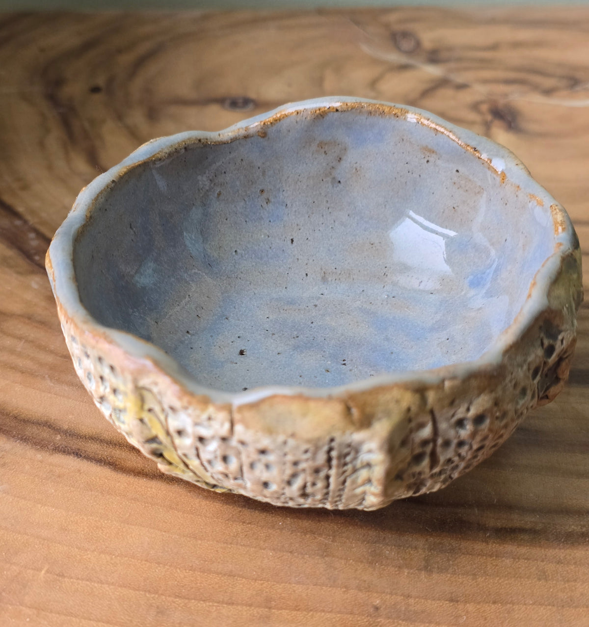 Little Sea Urchin bowl