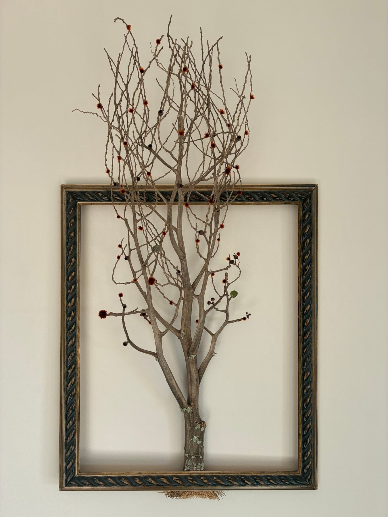 Framed Tree of Life ~ "Flame Tree"