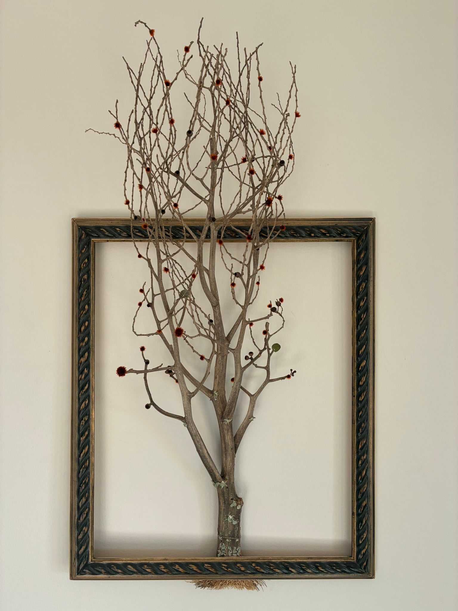 Framed Tree of Life ~ "Flame Tree"