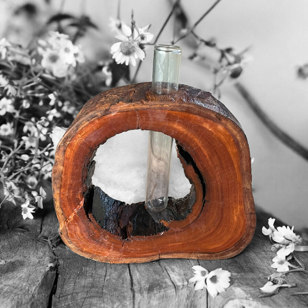 Rustic hardwood vase - full - test tube