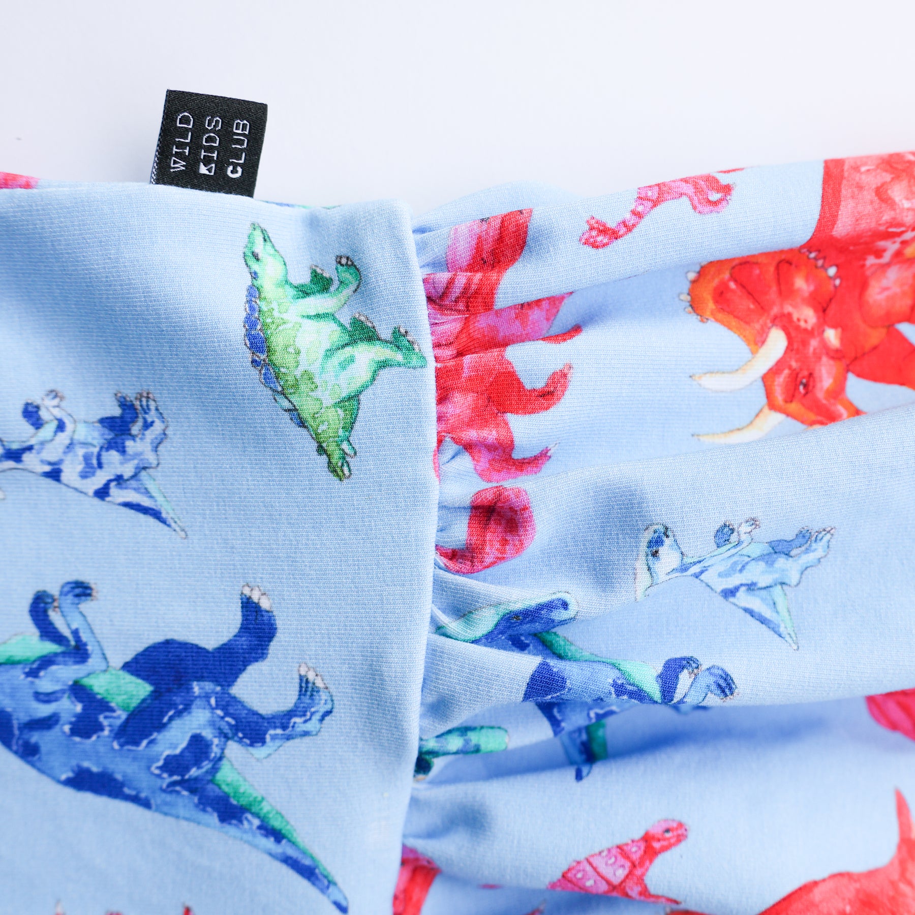 Rainbow dinosaur organic cotton dress 2026-27