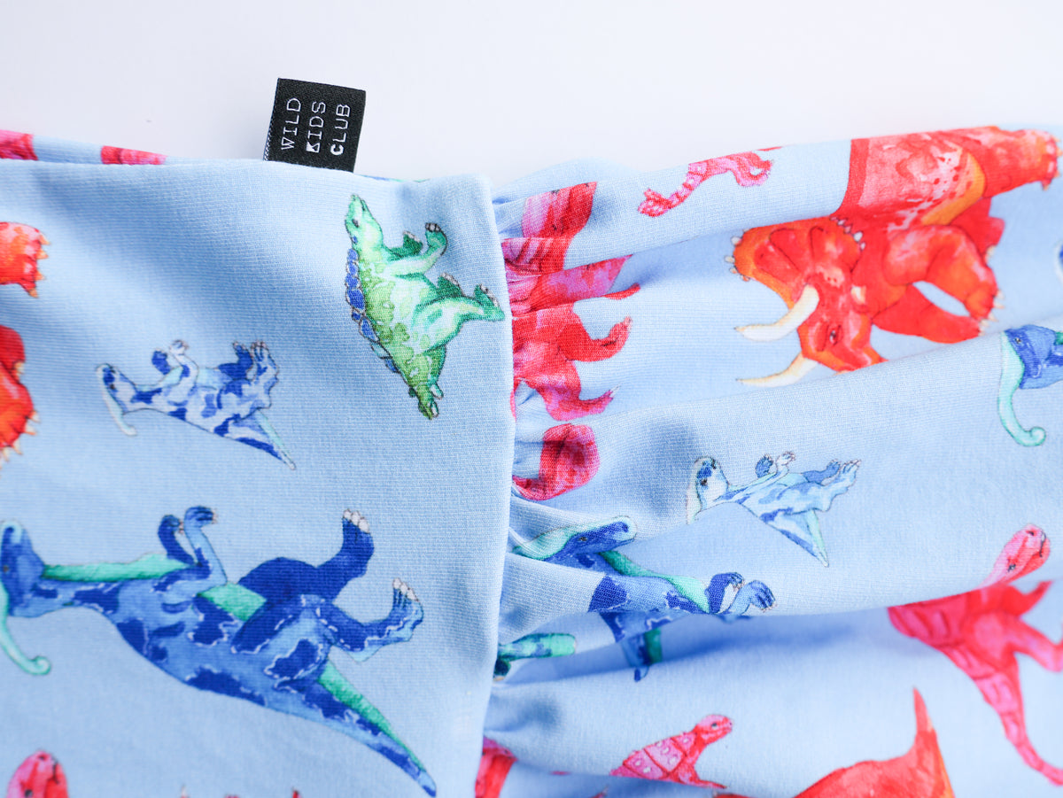 Rainbow dinosaur organic cotton dress 2026-27
