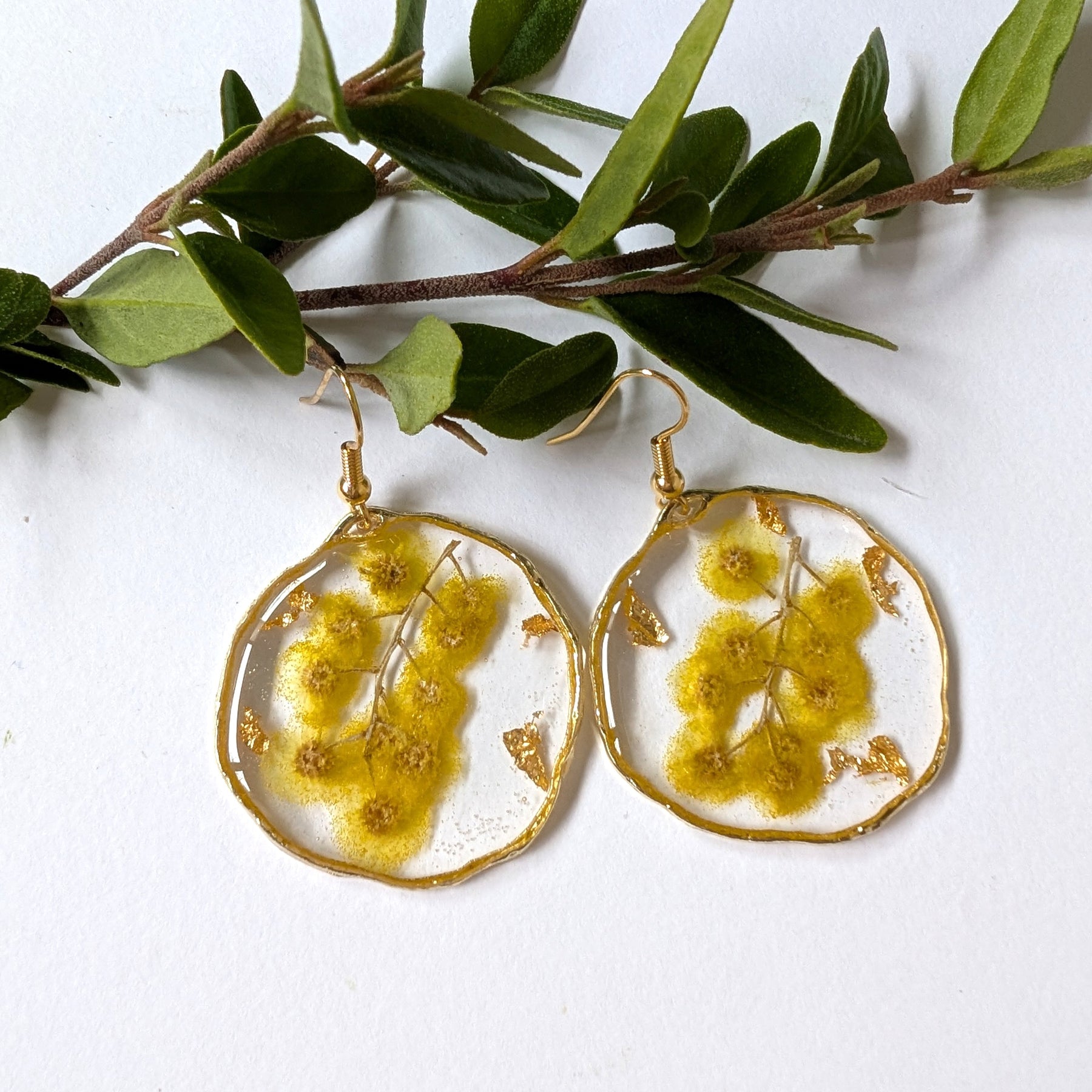 Real Golden Wattle Resin Dangle Earrings