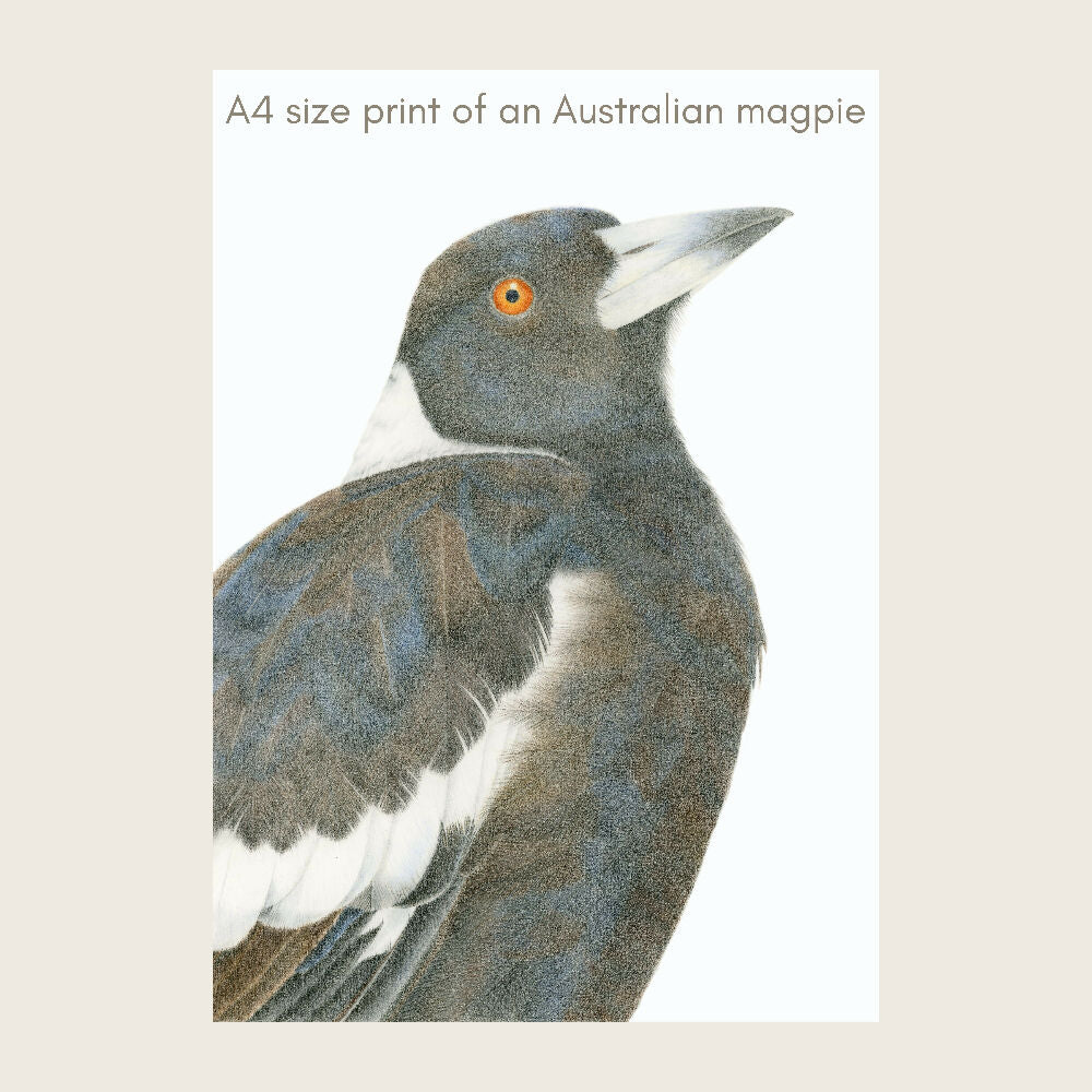 magpieprint3