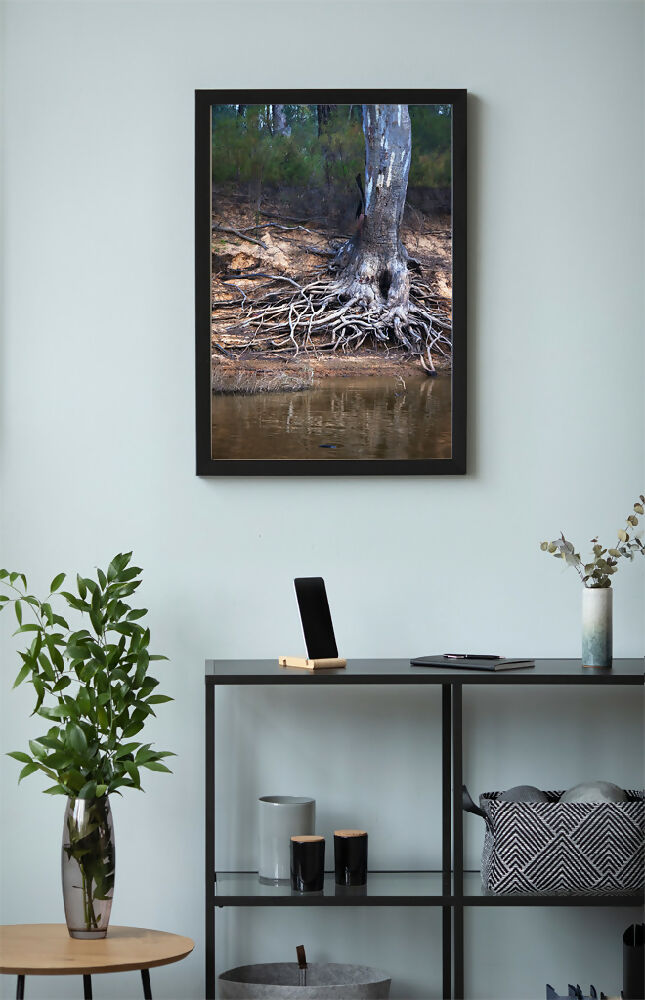 Murray-River-TREE-photo-frame-with-interior-1024x660-WEB