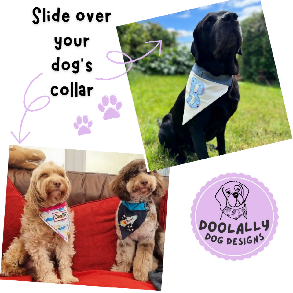 dog_bandana_slides_over_collar