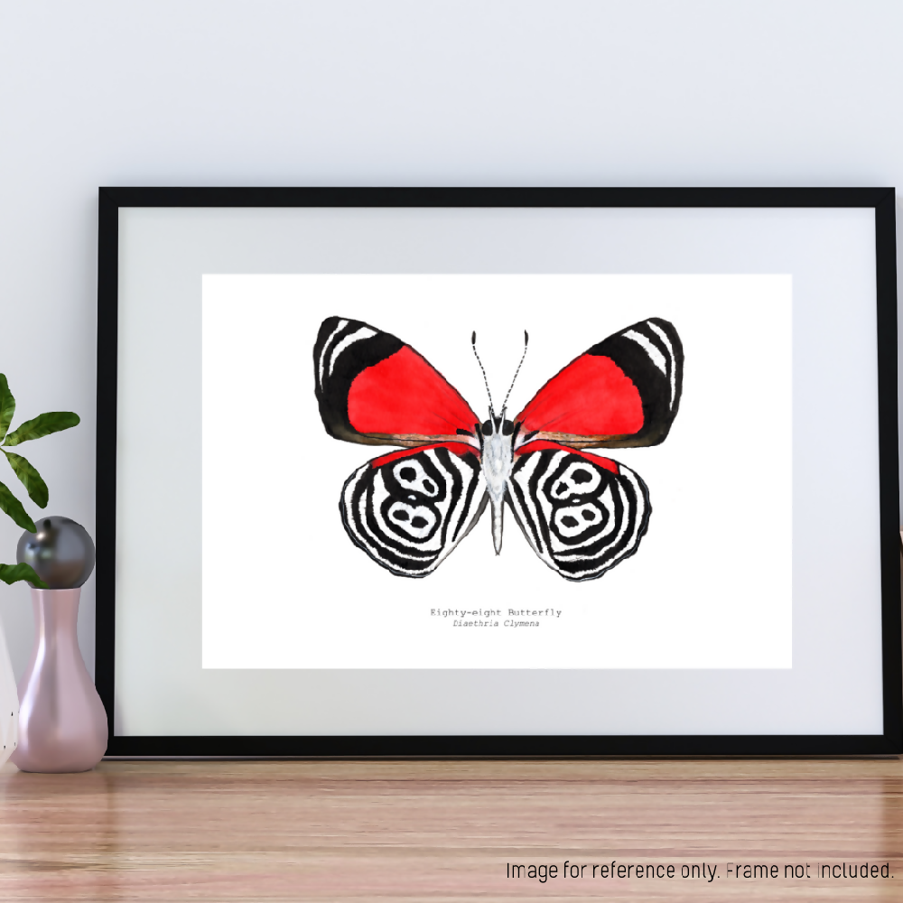 art print - the fauna series - eighty-eight butterfly