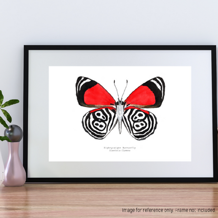 Watercolour Art Print - The Fauna Series - 'Eighty-eight Butterfly'
