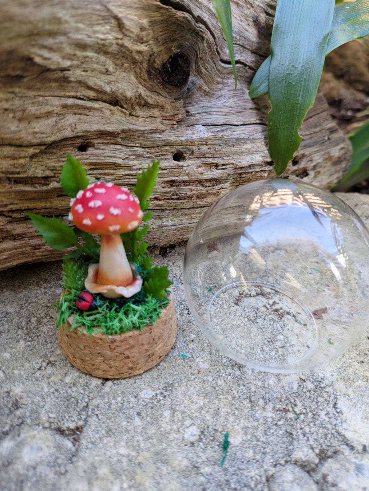Mini Enchanted Amanita Mushroom Dome with a Ladybug