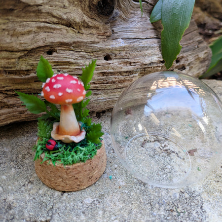 Mini Enchanted Amanita Mushroom Dome with a Ladybug