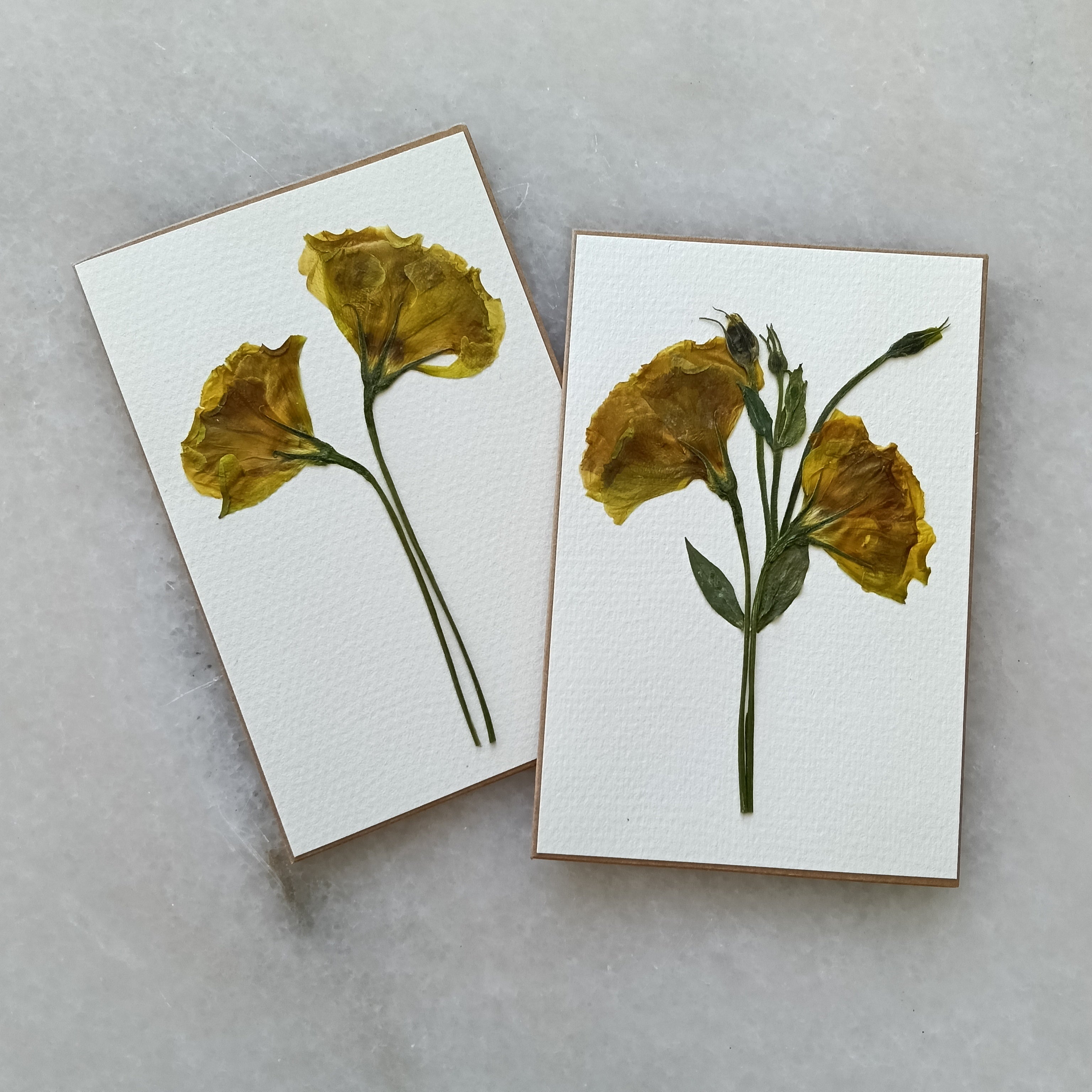 Simply Lissy | Pressed Flower Handmade Card