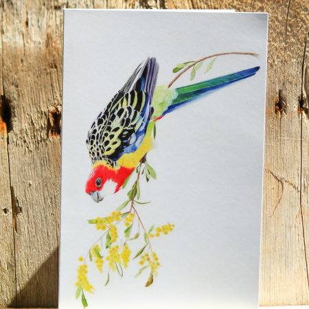 Eastern Rosella Greeting Card (blank)