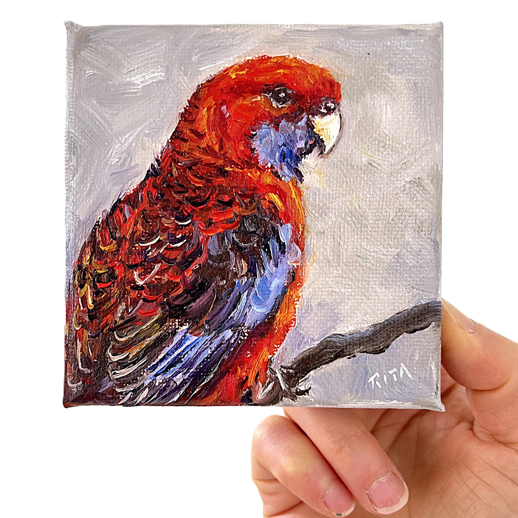 Original Australian Bird Mini Oil Painting