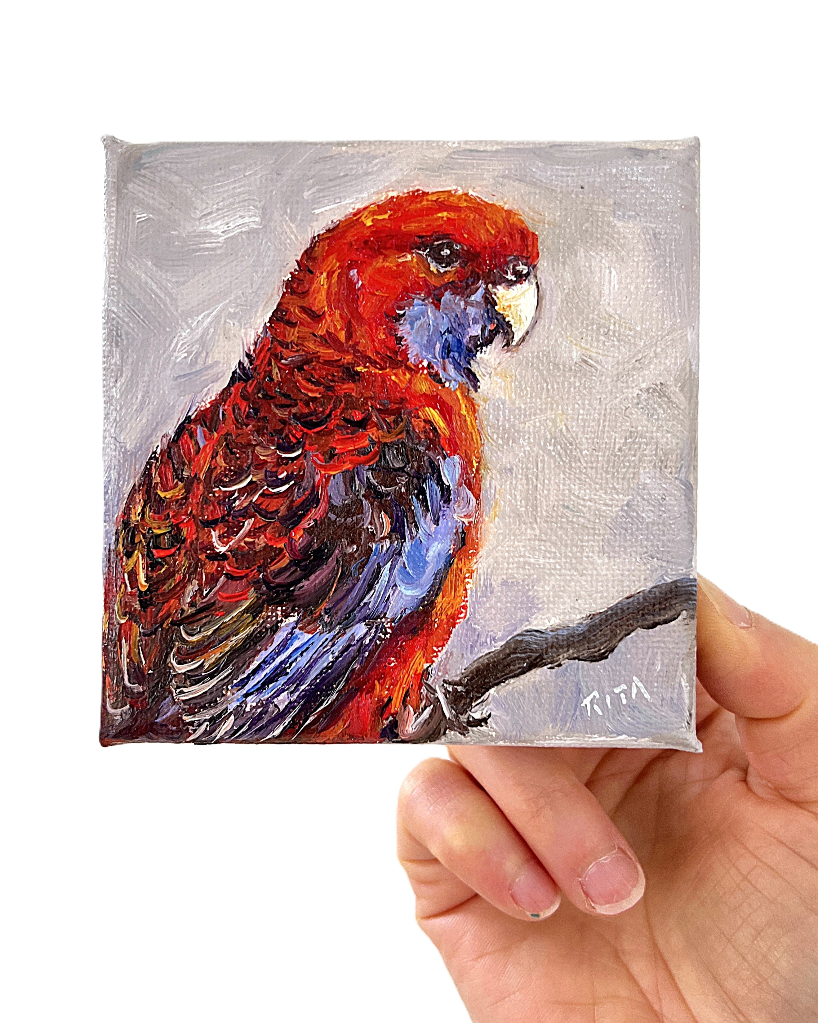 Original Australian Bird Mini Oil Painting