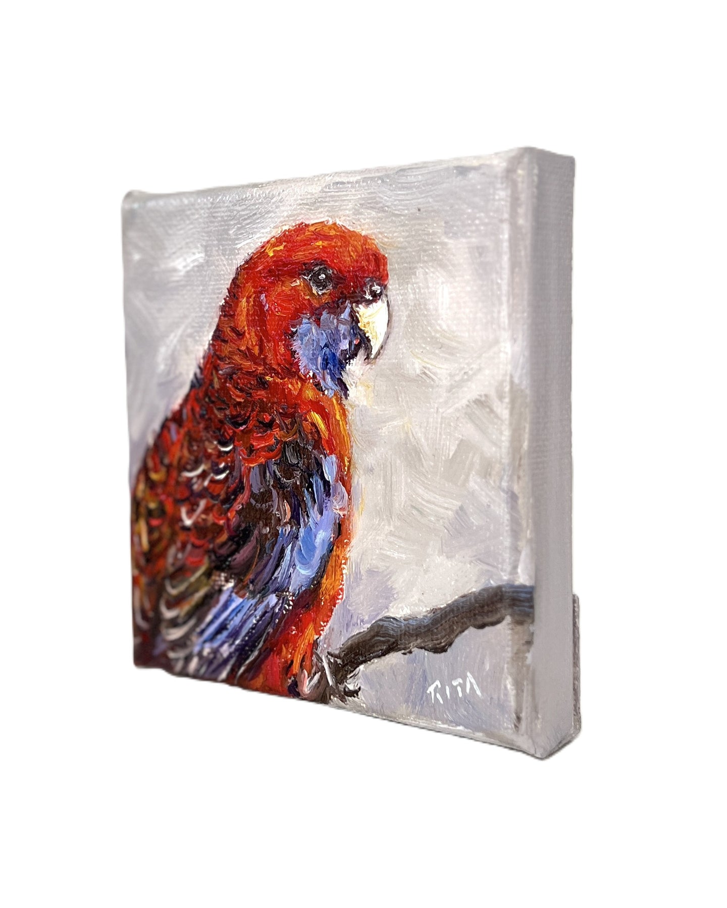 Original Australian Bird Mini Oil Painting