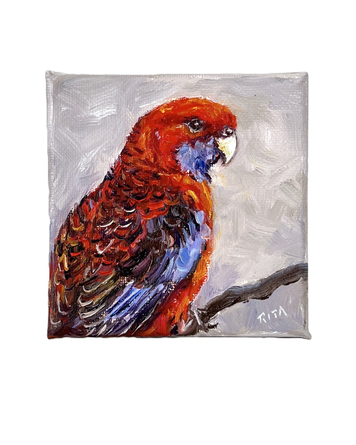 Original Australian Bird Mini Oil Painting