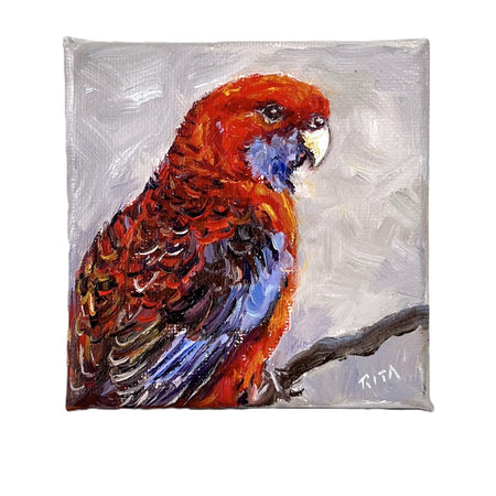 Original Australian Bird Mini Oil Painting