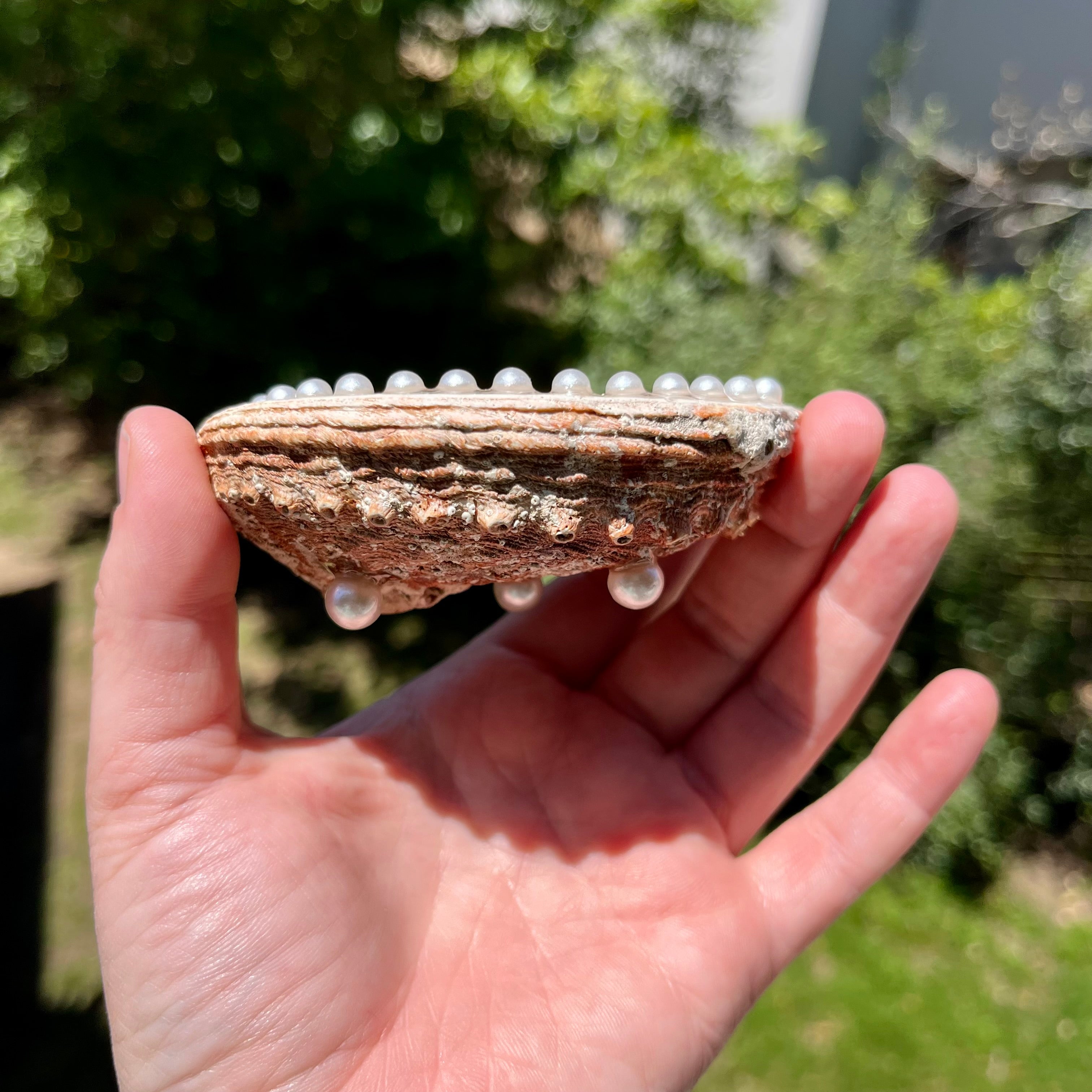 Mermaid Shell Trinket Holder Gift