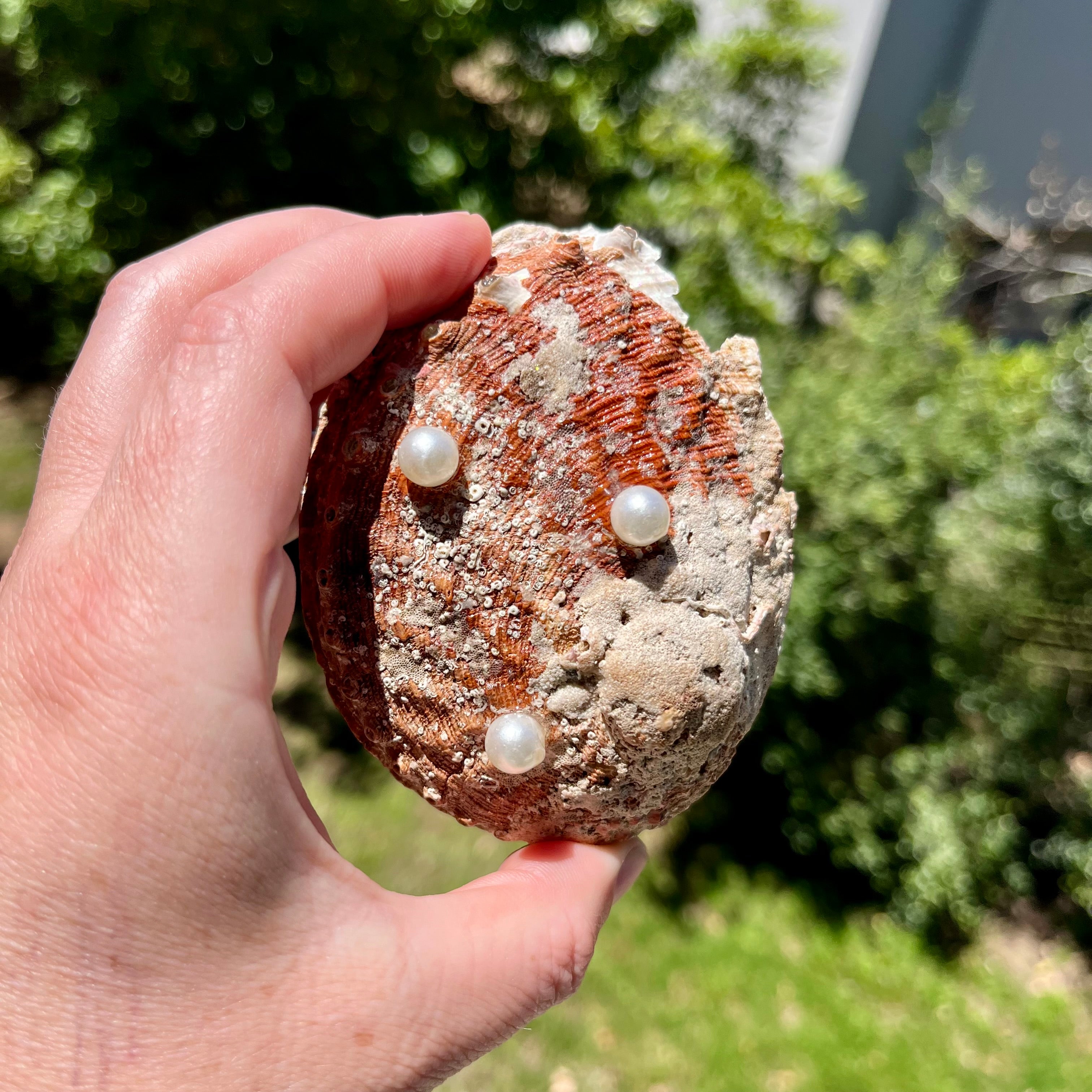 Mermaid Shell Trinket Holder Gift