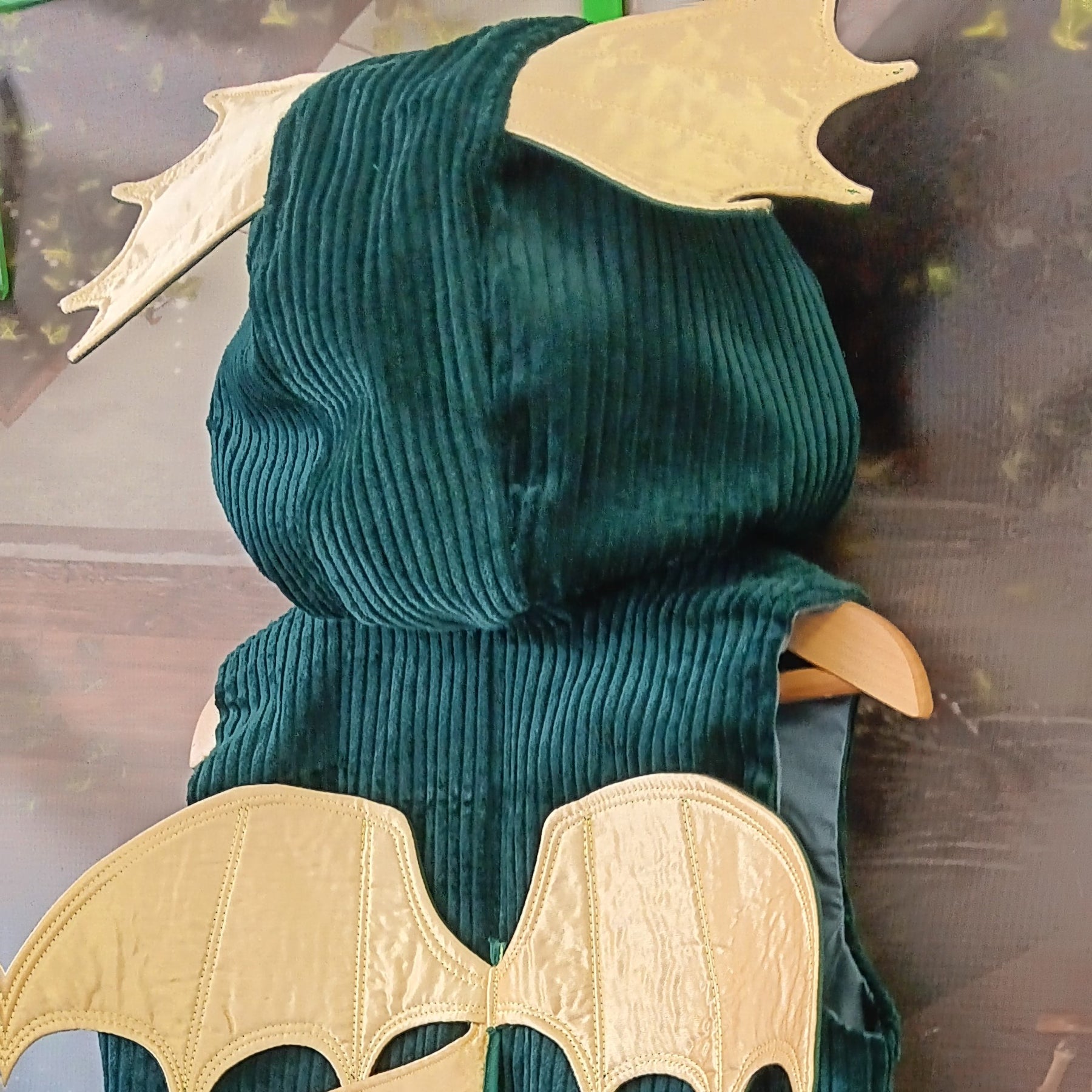 Kids Dragon Hooded Vest - size 4-5
