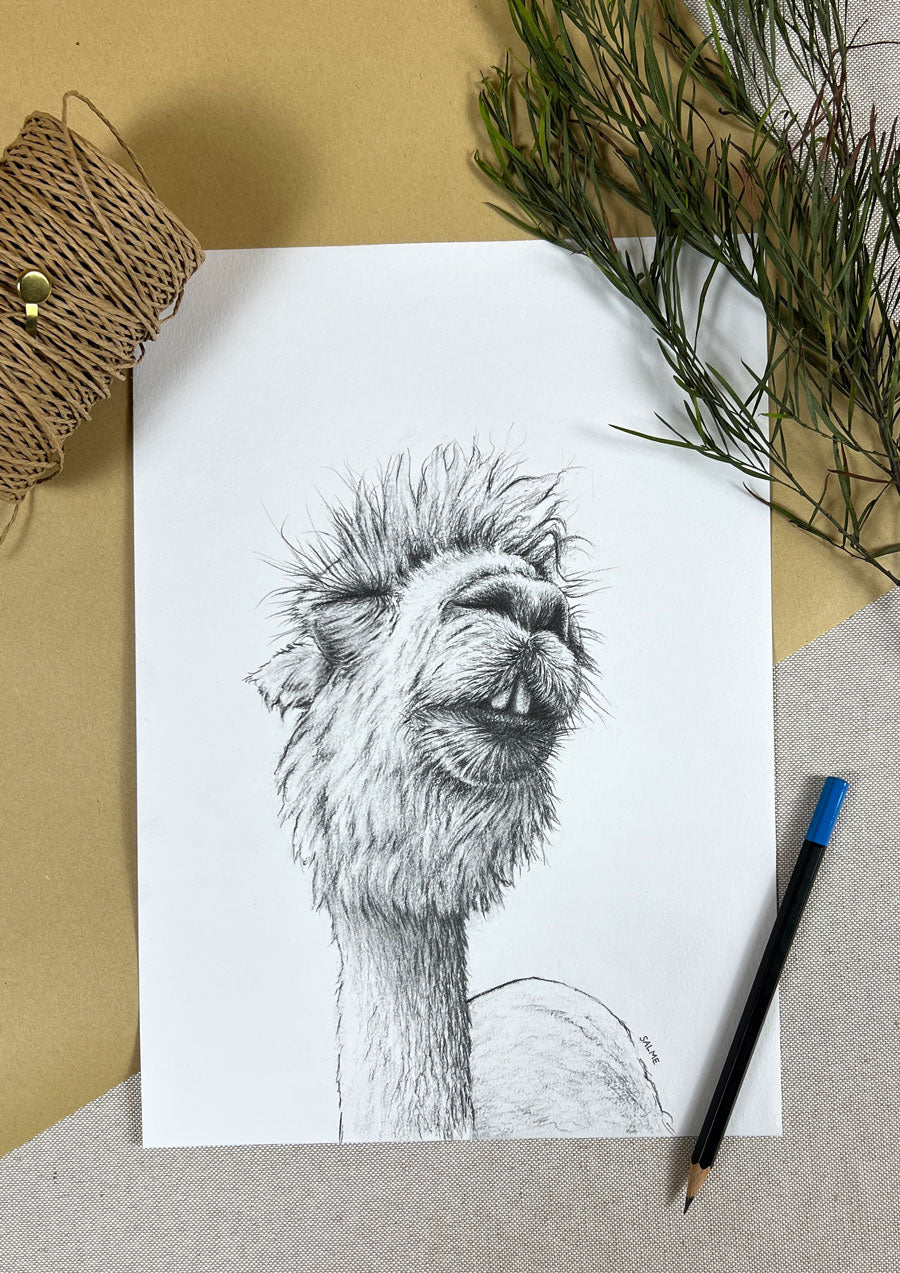 Cheeky Alpaca | Hand Drawn Original Artwork