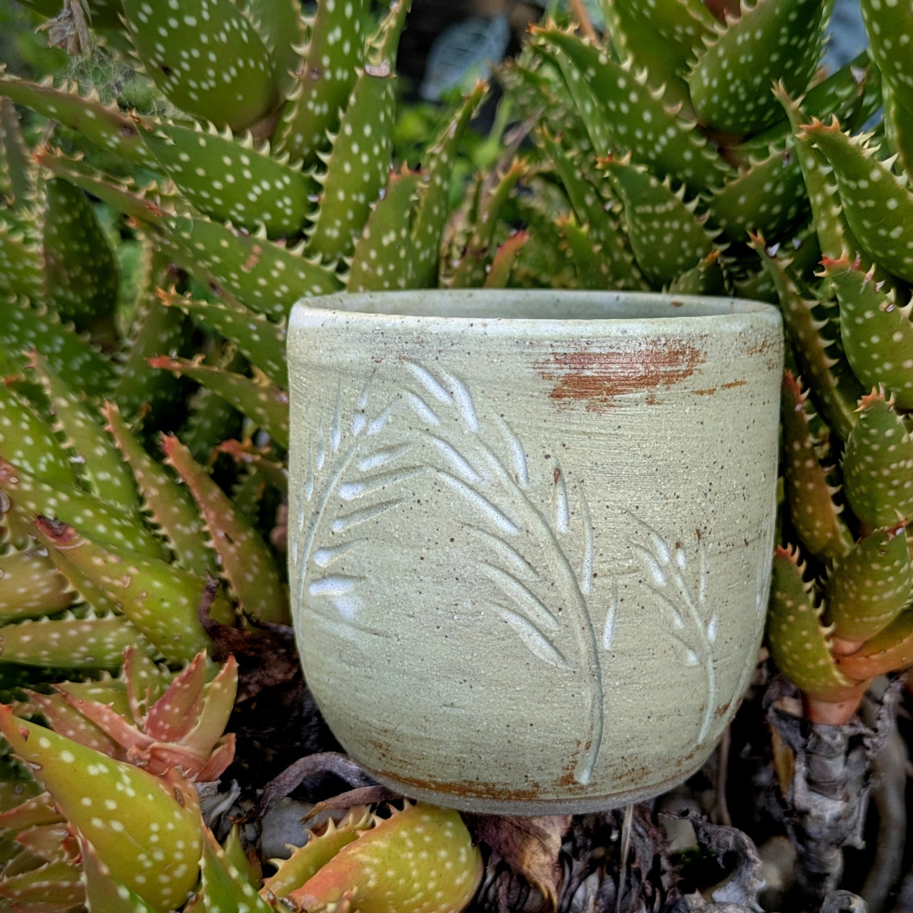Wheat cup