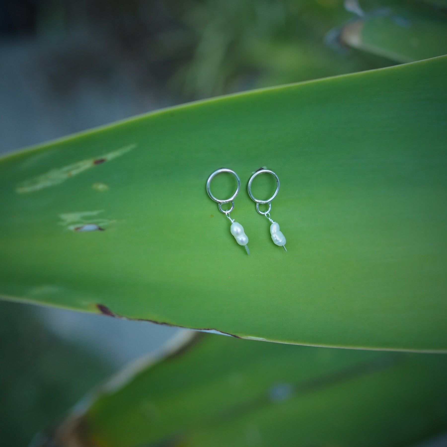 Circle + Pearl Earrings | Sterling Silver | Freshwater Pearls