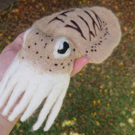 Felted Wool Cuttlefish