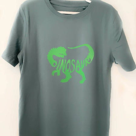 Dinosaur graphic T shirt, boys T shirt, green T shirt, Australian size 7, short sleeve T shirt, crew neck T shirt,