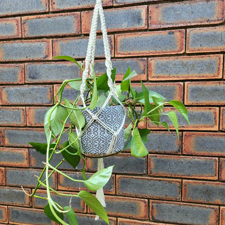 Upcycled Macrame Hanging Planter