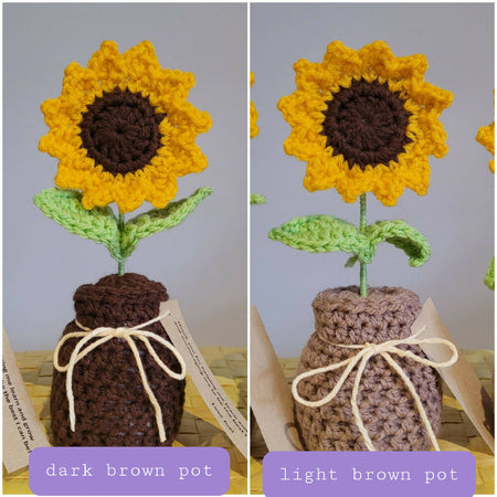 Sunflower in a Pot