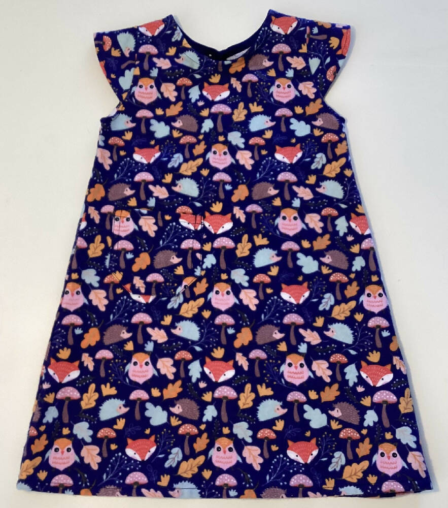 Girls A- line Dress with Cap Sleeves