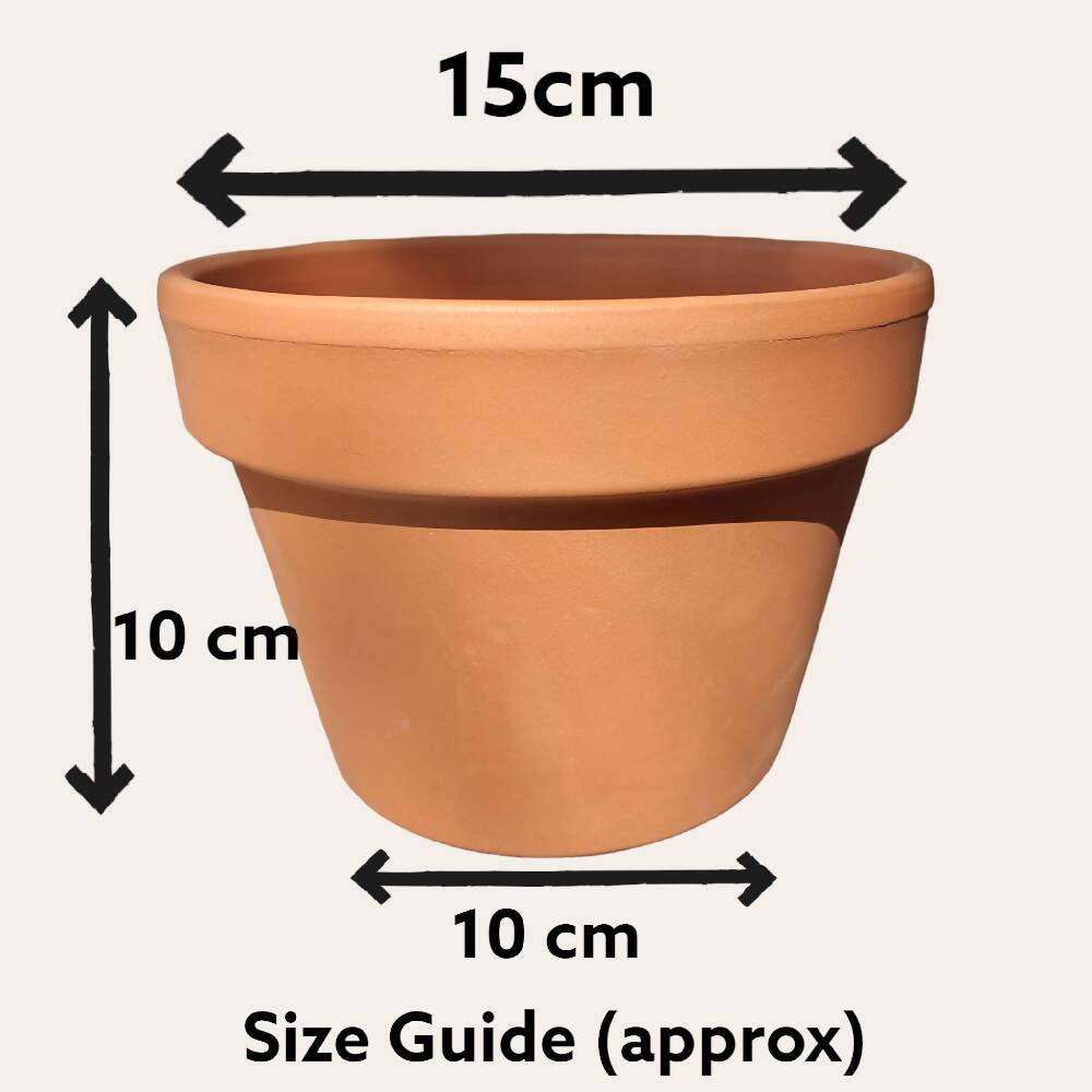 Hand Painted Terracotta Pot 15cm Golden Acrylic Pour