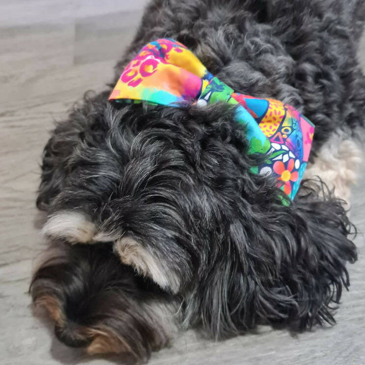 Pet Collar Bows - Colourful Abstract - Fabric Elastic Loops - Hair Bow