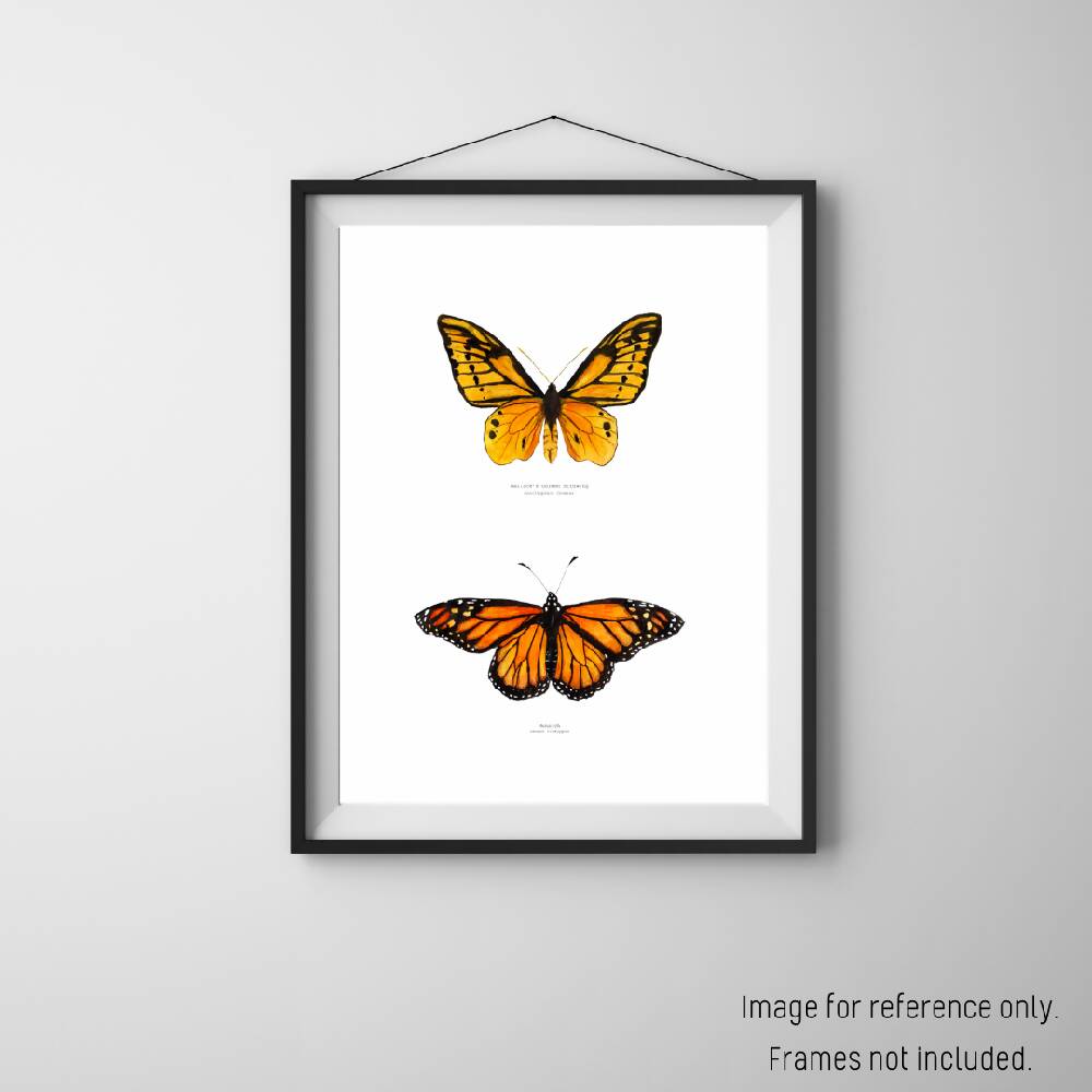 the fauna series - warm hues butterfly duo
