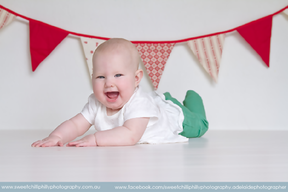 Christmas Bunting - Red Green Gold Traditional Style Flags - Holly & Stars Decoration