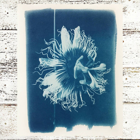 Passionfruit Flower Art, Original Cyanotype, Floral Print, Passiflora 8x10 inch