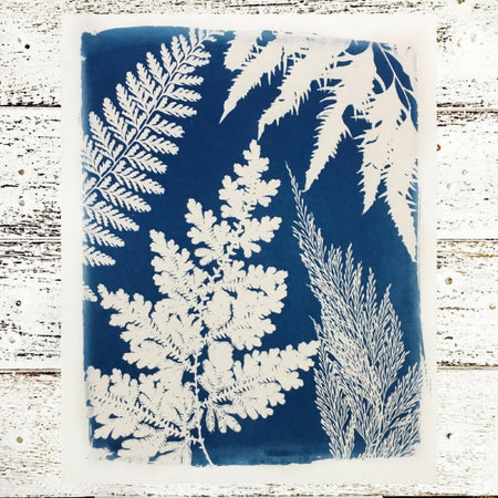Fern Art Print, Original Cyanotype, 8x10 inches, Botanical Art