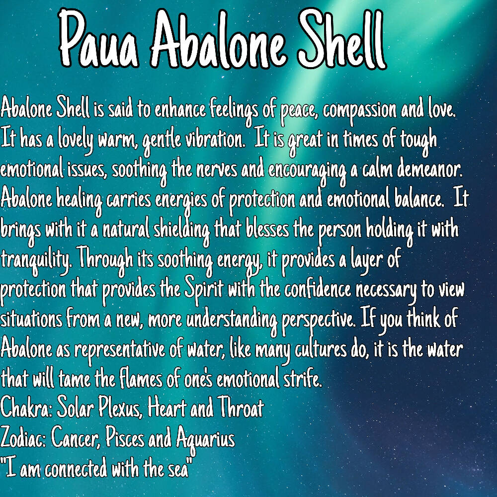 Paua Abalone Shell