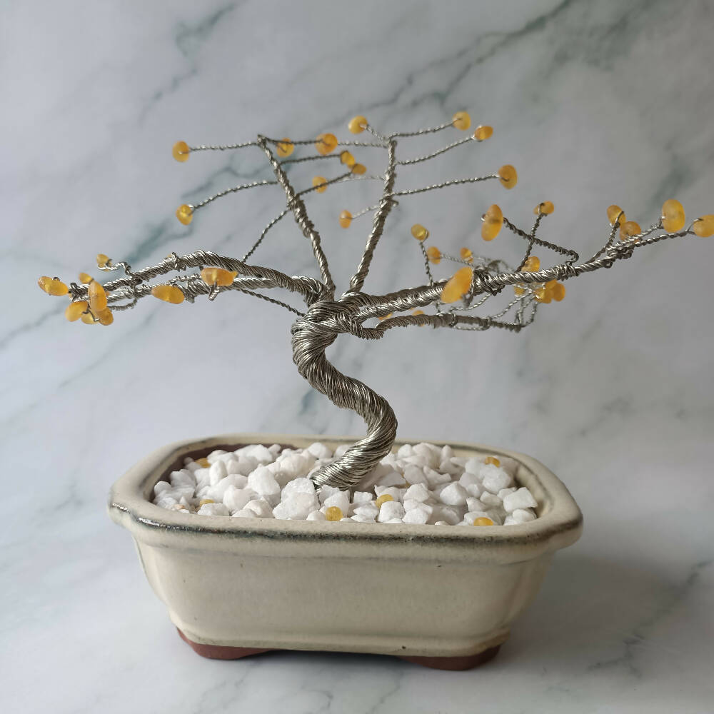 Raw Baltic Amber Extra Specialty Gem Tree - 49 gems per tree