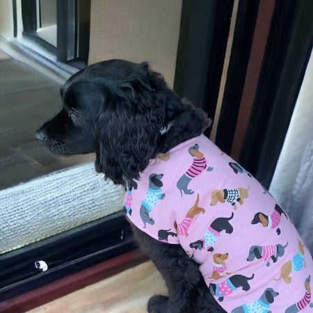 Dog Coat Jacket Dachshund Bright Pink 26 Sizes Flannelette Fleece
