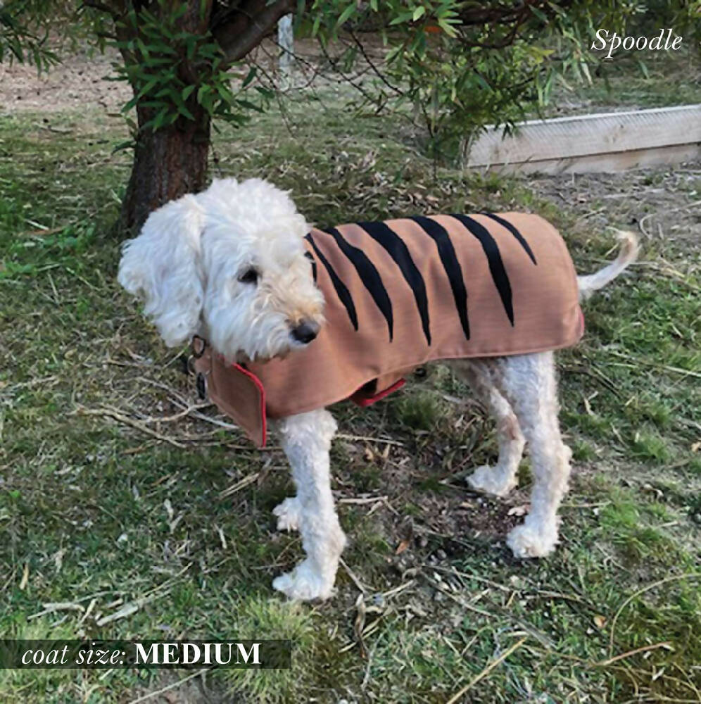 cute dog copper_model_medium_low res