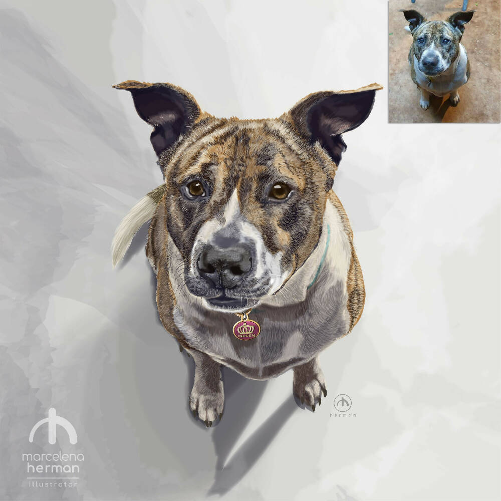 Custom Portrait | REALISTIC STYLE| Pet Portrait | Full-body | Vector Illustrations