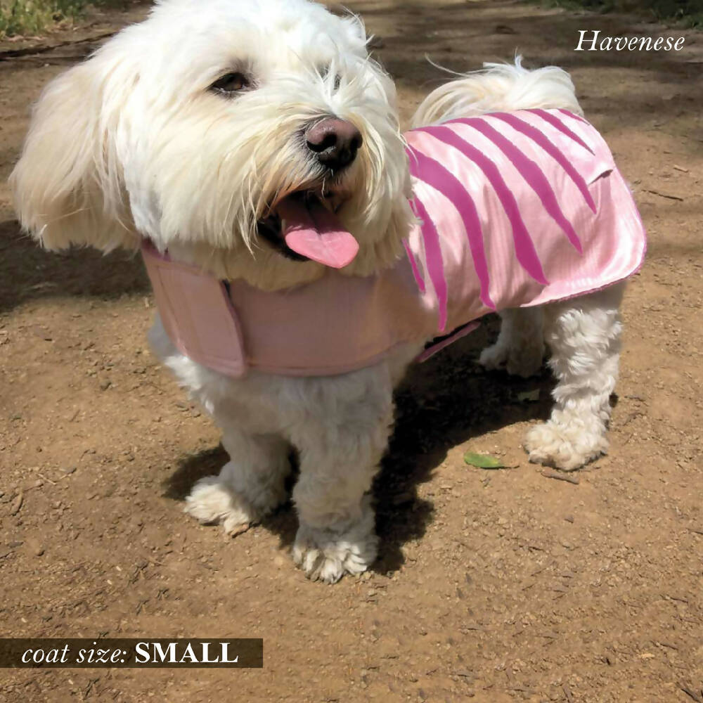 Pretty Dog Pink - 3 Sizes - XS to S