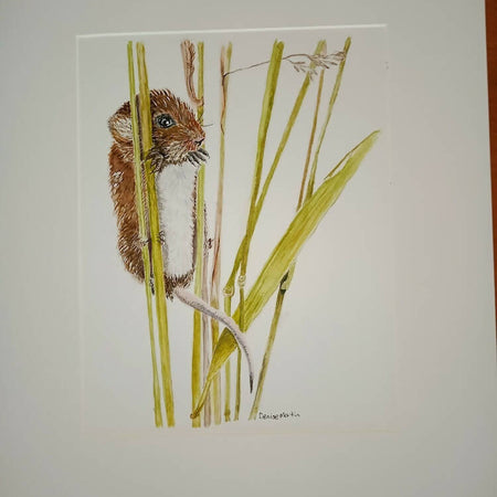 Original watercolour of field mouse on wheat stalks - Hangin' In There