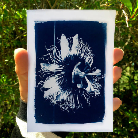 Passionfruit Art Print, Flower Cyanotype Postcard Size Nature Print