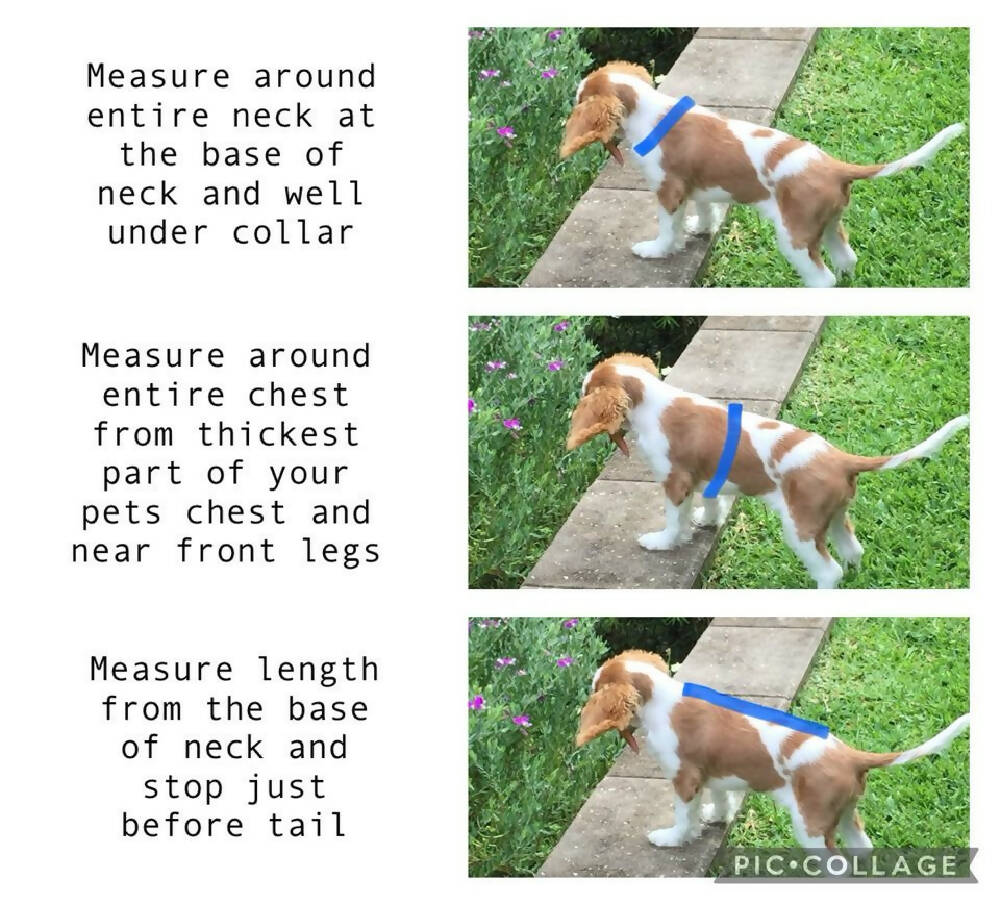 Measuring Tips