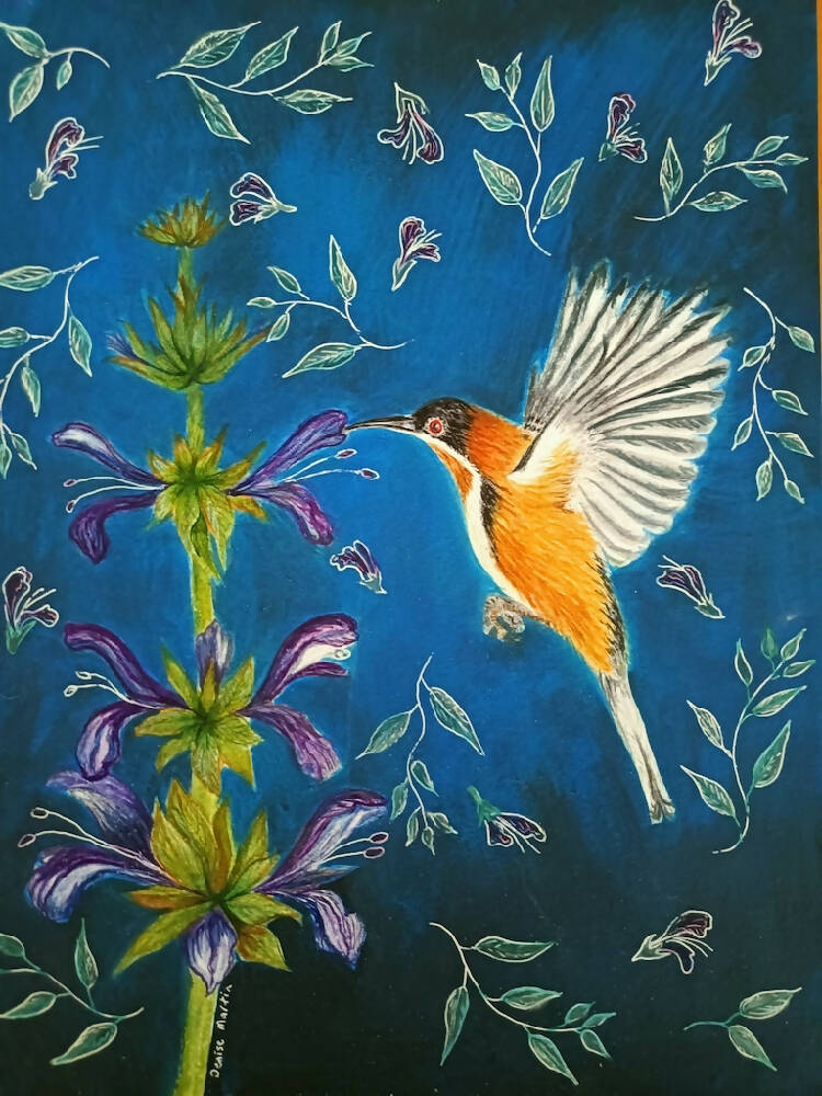 Eastern Spinebill on Salvia- original mixed media painting